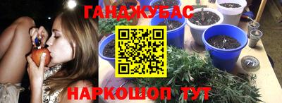 мяу мяу мука Будённовск