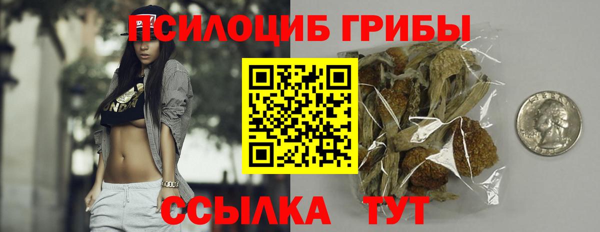 Галлюциногенные грибы ЛСД Печора
